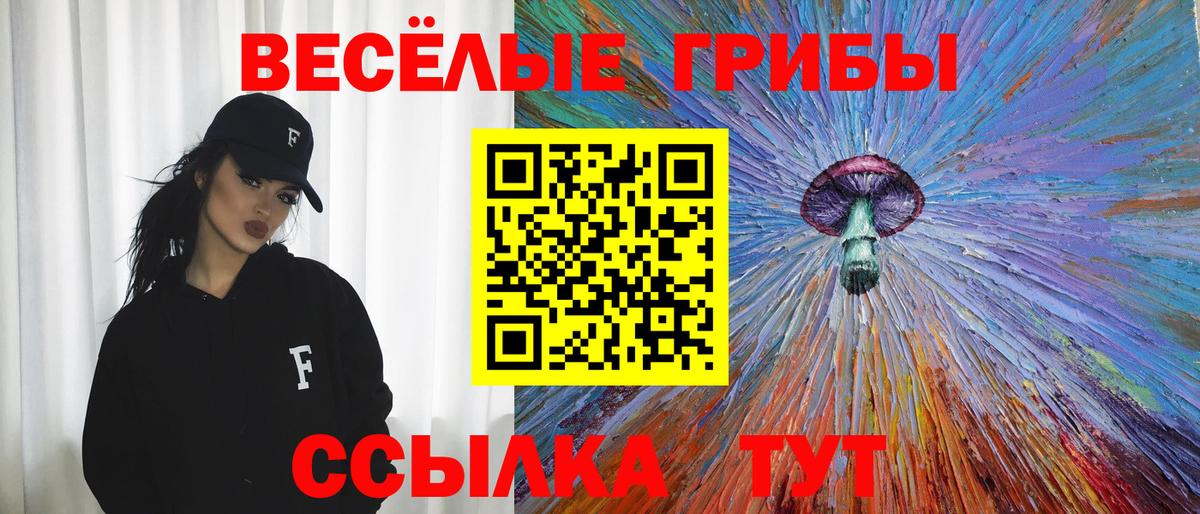 Псилоцибиновые грибы Psilocybine cubensis Россия