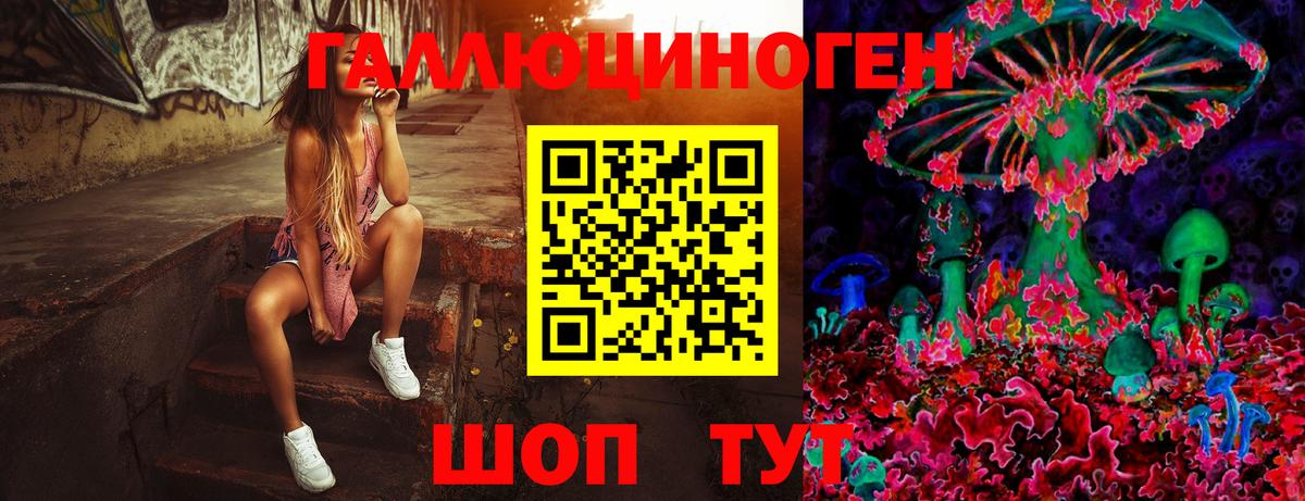 Россия  Галлюциногенные грибы GOLDEN TEACHER  Галлюциногенные грибы Magic Shrooms  как найти наркотики  Вход с VPN 